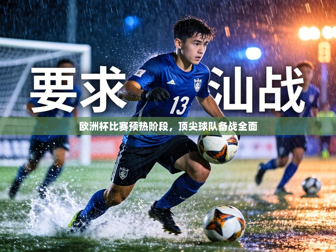 欧洲杯比赛预热阶段,顶尖球队备战全面 第1张